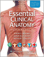 Essential Clinical Anatomy