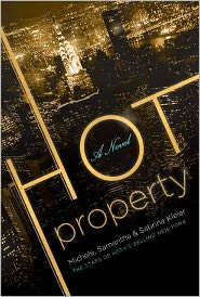 Hot Property by Michele Kleier: Book Cover