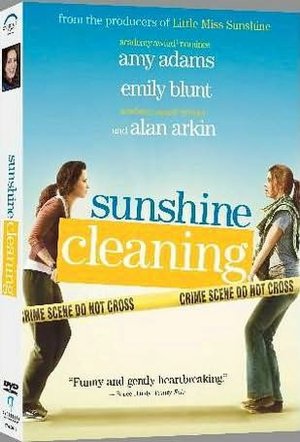 Sunshine Cleaning