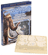 Fossil Detective: Woolly Mammoth
