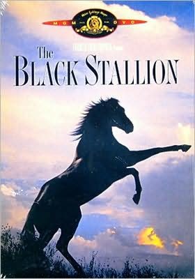 The Black Stallion