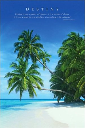 Destiny - Beach Palms - Poster