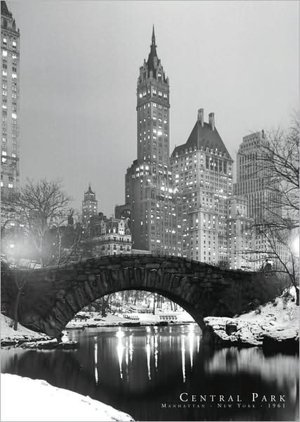Central Park - Poster