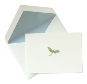Hand Engraved Dragonfly Notes