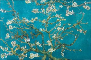 Van Gogh's Almond Blossoms - Poster