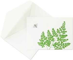 Fern Notes