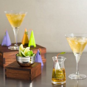 Cocktail Mixology Set