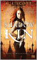Shadow Kin (Novel of the City Series)