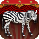 Animal Show