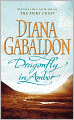 Dragonfly in Amber