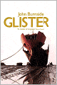 Glister