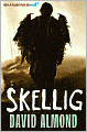 Skellig