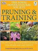 RHS Pruning and Training