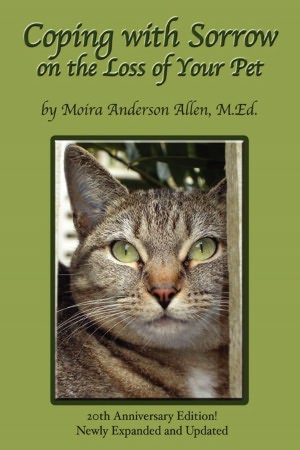 Coping With Sorrow On The Loss Of Your Pet