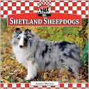 Shetland Sheepdogs