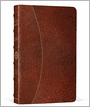 ESV Vintage Thinline Bible (Cowhide, Chestnut, Hemisphere Design)
