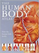 The Human Body Atlas