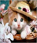 The Fa-mouse Book of Cat Jokes-A Must For Cat Lovers
