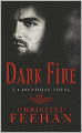 Dark Fire (Dark Series #6)