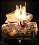 The Woodburner's Guide: Practical Ways of Heating with Wood