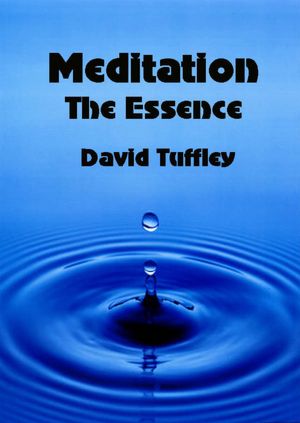 Meditation: The Essence