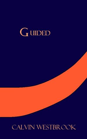 Guided (Guided #1)