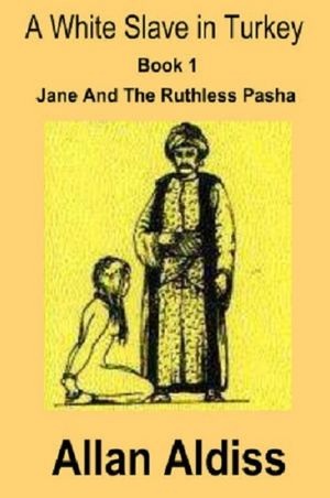 A White Slave in Turkey Book 1 - A BDSM Novel