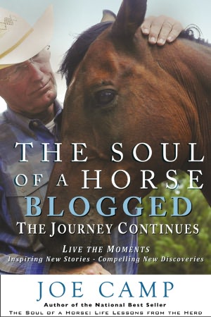 The Soul of a Horse Blogged - The Journey Continues