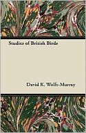 Studies Of British Birds