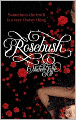 Rosebush