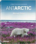 AntArctic