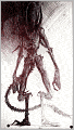 The War of the Worlds [Illustrated]