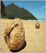 Robinson Crusoe [Illustrated]