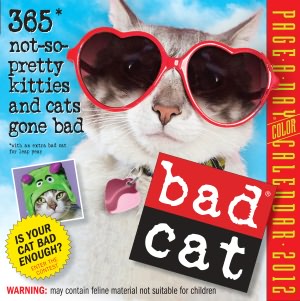 2012 Bad Cat Page-A-Day Calendar
