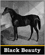 Black Beauty