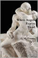 Where Angels Fear To Tread