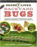 download The Secret Lives of Backyard Bugs : Discover Amazing Butterflies, Moths, Spiders, Dragonflies, and Other Insects! book