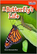 A Butterfly's Life