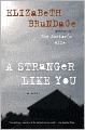A Stranger Like You