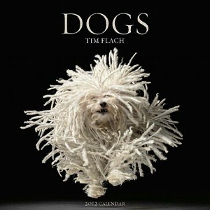 2012 Dogs Wall Calendar