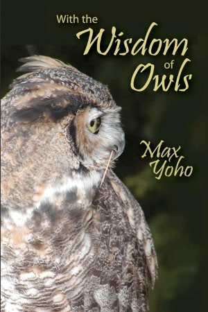 With The Wisdom Of Owls