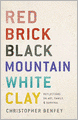 Red Brick, Black Mountain, White Clay: Reflections on Art, Family, and Survival