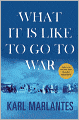 What It Is Like to Go to War