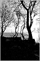Pride and Prejudice [Illustrated]