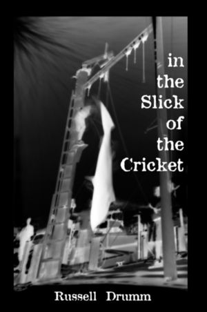 In The Slick Of The Cricket