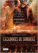 Ciudad de los ángeles caídos (City of Fallen Angels)