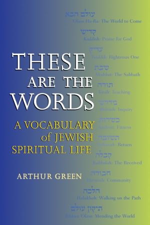 These Are the Words: A Vocabulary of Jewish Spiritual Life