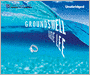 Groundswell