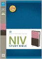 NIV Study Bible