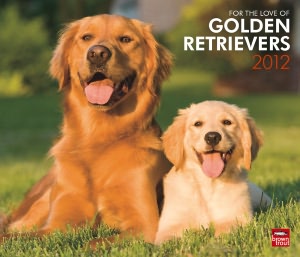 2012 Golden Retrievers, For The Love Of Dlx Wall Calendar